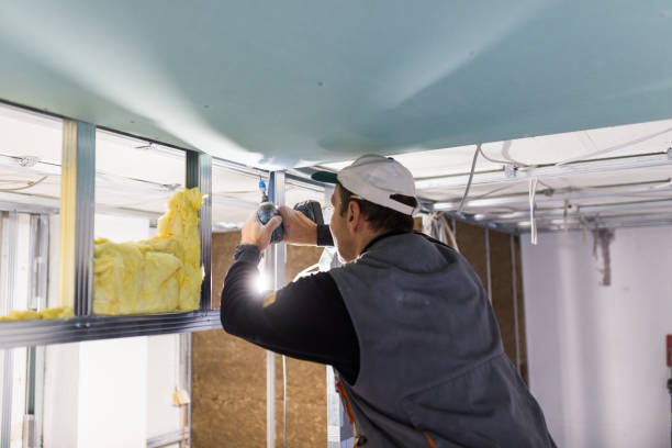 Best Insulation Maintenance and Repair in Castle Pines, CO