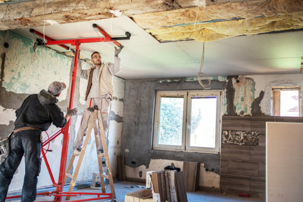 Best Insulation Installation Services in Castle Pines, CO