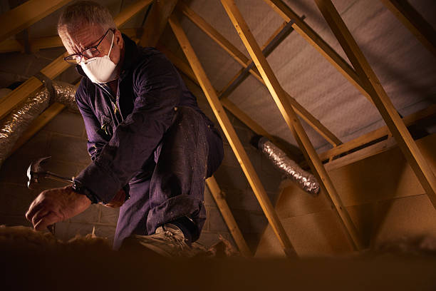 Best Residential Insulation in Castle Pines, CO